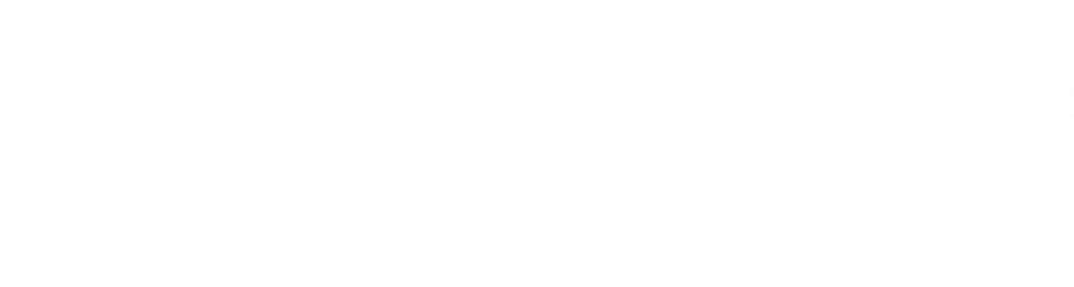 Code Vectorizer Supports RISC-V RVV | emmtrix Technologies
